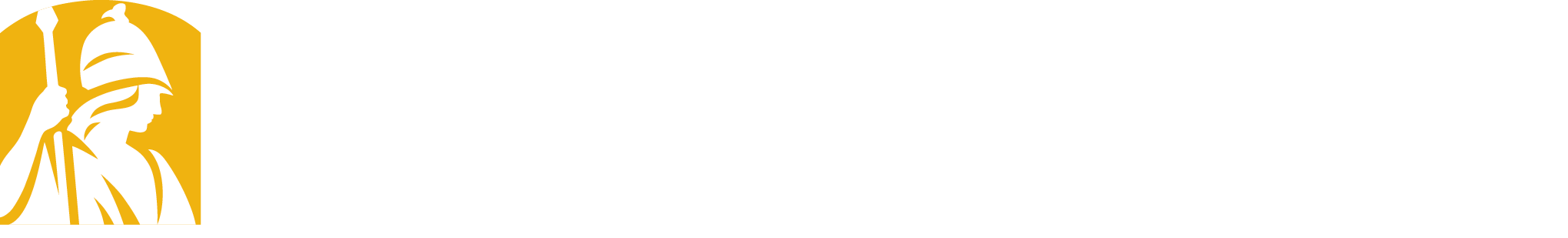 University Libraries - University at Albany